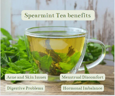 Spearmint Tea Bags by NatuBea
